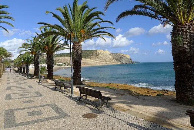 Palmiers dans la région de l'Algarve au Portugal représentant le mode de vie ensoleillé des expatriés