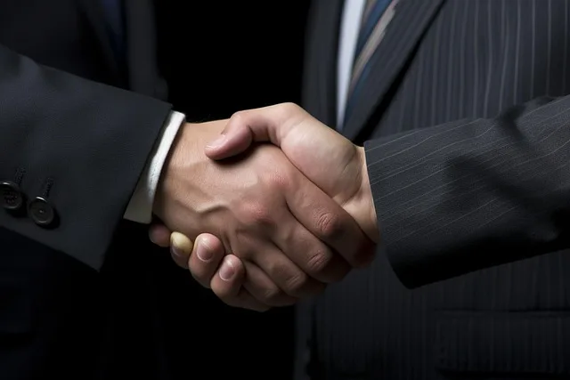 hands representing multi-insurance options in Portugal