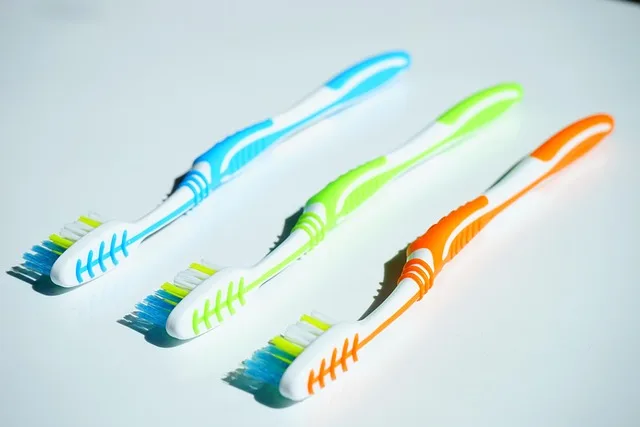 toothbrushes representing dental insurance options in Portugal