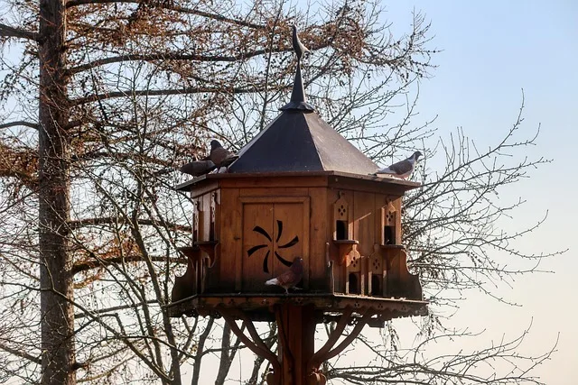 pigeon house representing home insurance options in Portugal