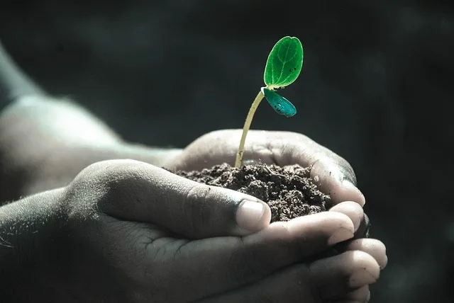 hands representing life insurance options in Portugal