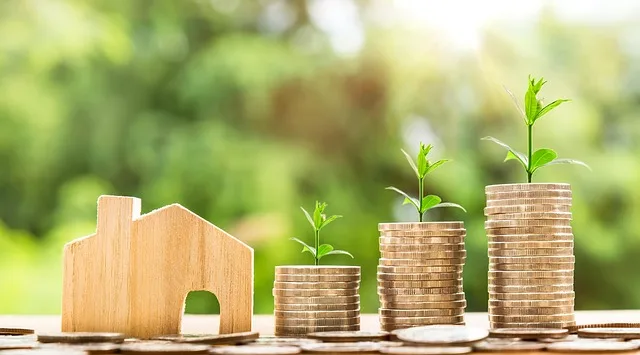 money representing life insurance options in Portugal
