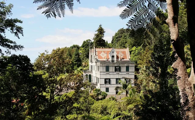 Paysage luxuriant de l'île de Madère au Portugal un paradis pour les expatriés ayant besoin d'une assurance locale